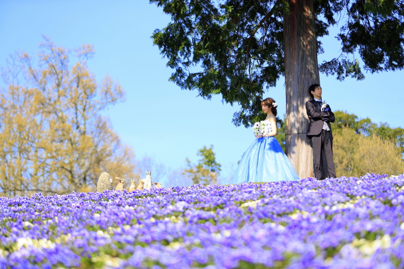 【3/1～5/31撮影限定★衣裳3着プラン】和装1点+洋装2点　好きなロケ地2カ所＆チャペルやスタジオ撮影