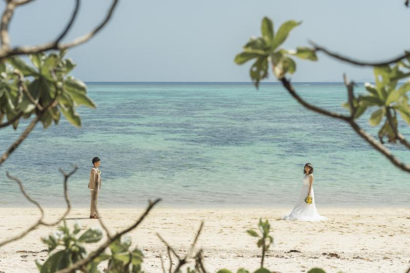 見つめあうおふたり