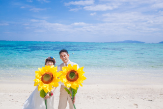 太陽とひまわり！！