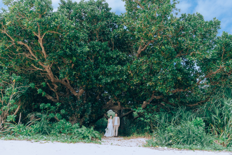 【ビーチ&グリーン撮影120カットプラン】大人演出にはグリーンが欠かせません!