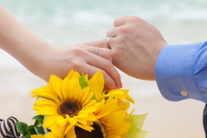 ハンドショット