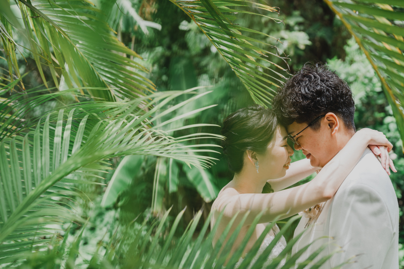 葉っぱに囲まれて