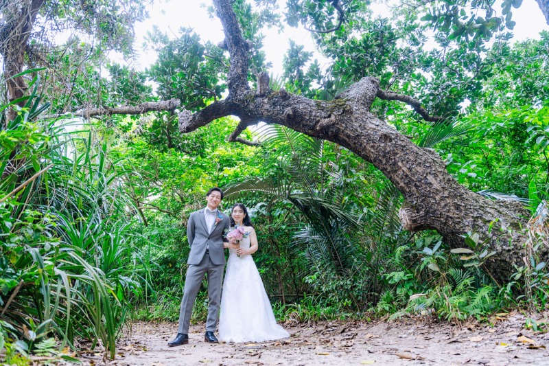 グリーンもサンセットも！