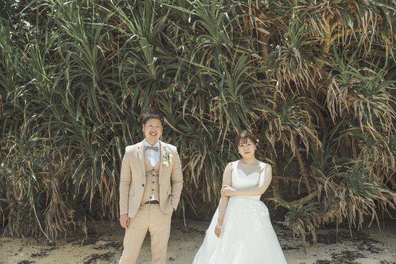 南国の葉っぱと