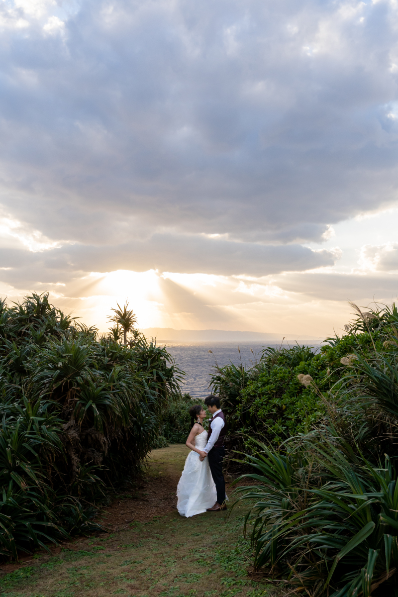 南国の緑に囲まれて