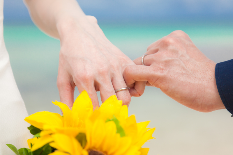 ハンドショット