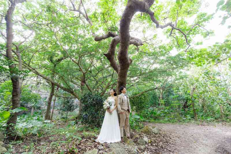 大自然の木の下で！