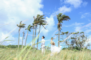 ビーチ、大自然