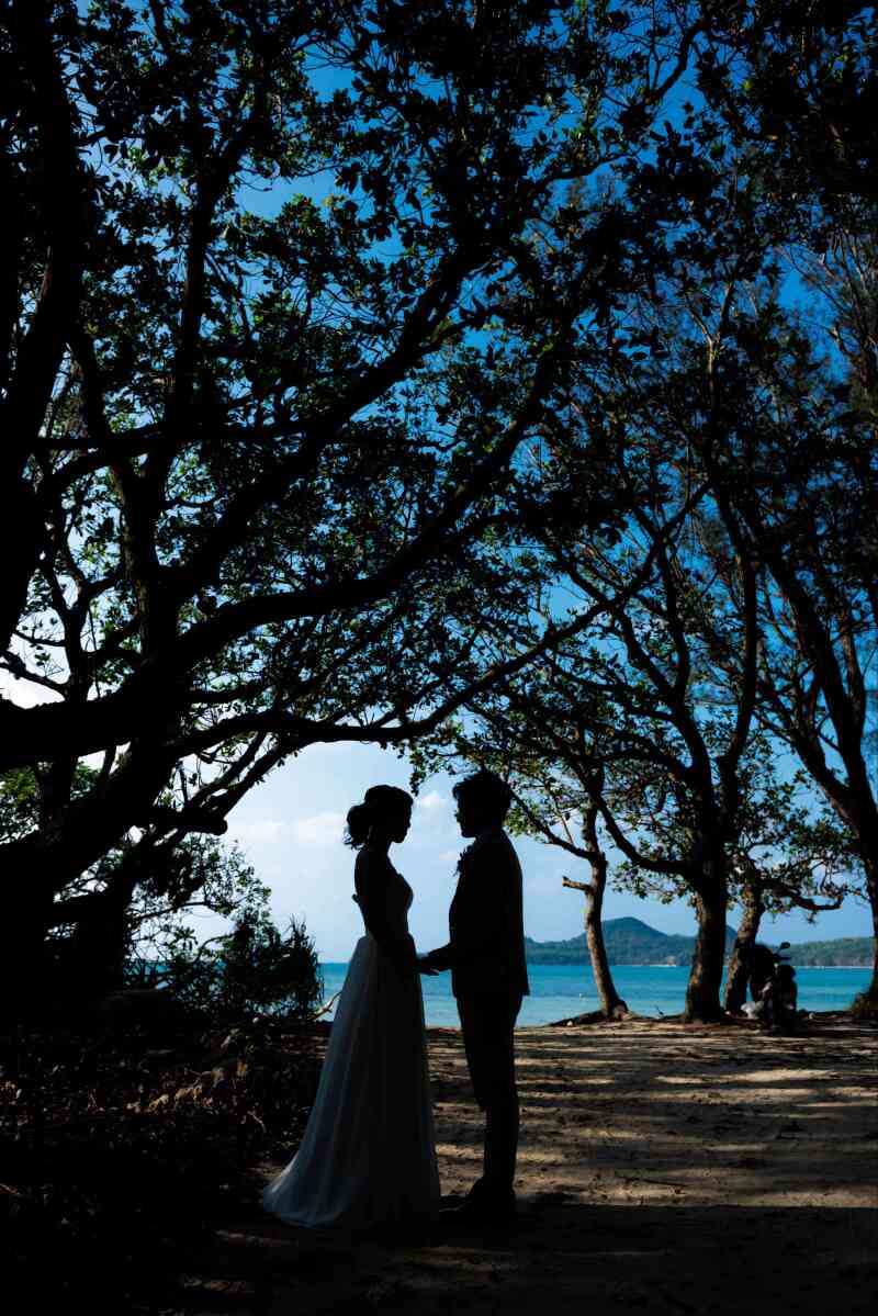 シルエットも♪