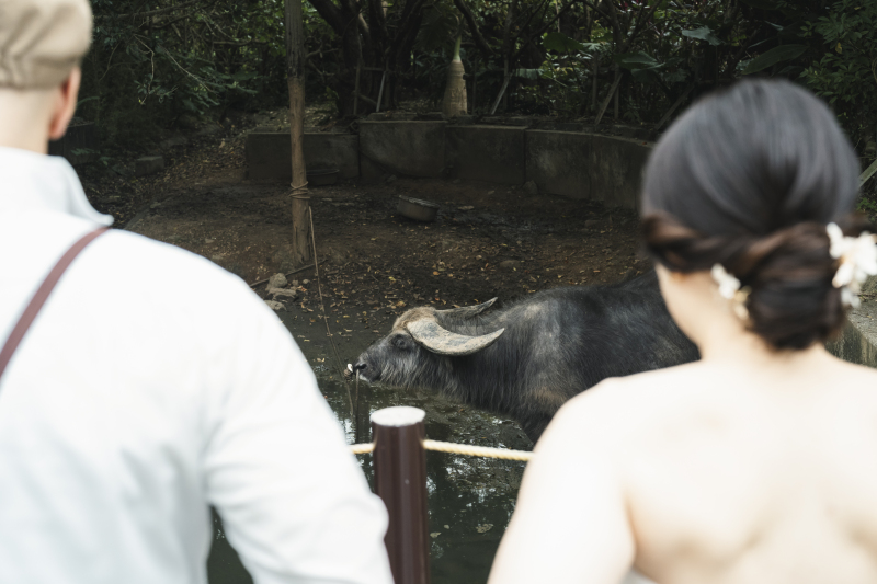 Behind the scenes #6