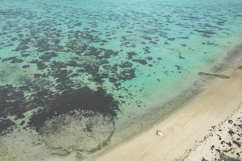 一面石垣ブルー