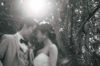 【ビーチ＆グリーン撮影120カットプラン】石垣島だからこそ叶う冬の森林浴も魅力！