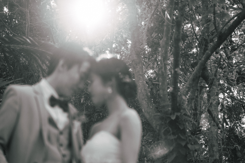 【ビーチ＆グリーン撮影120カットプラン】石垣島だからこそ叶う冬の森林浴も魅力！