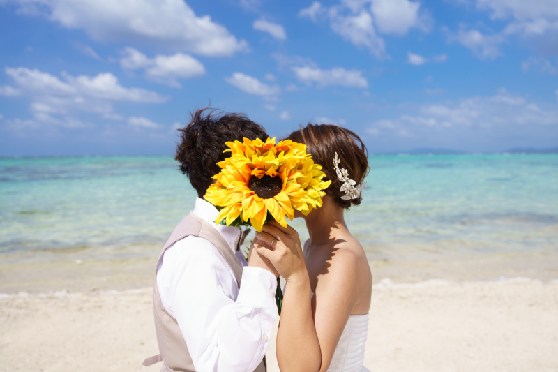 ひまわりに隠れて