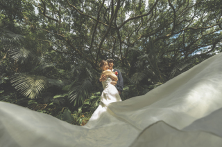 石垣島の大自然を感じて