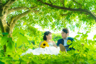 神秘的なガジュマル林とビーチの２ロケーション撮影♪