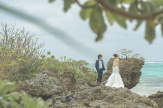 石垣島の海と緑