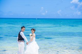 青と緑の贅沢ツアー！