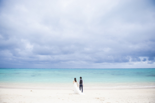 曇りの日でもこんな素敵な写真に･:*+.