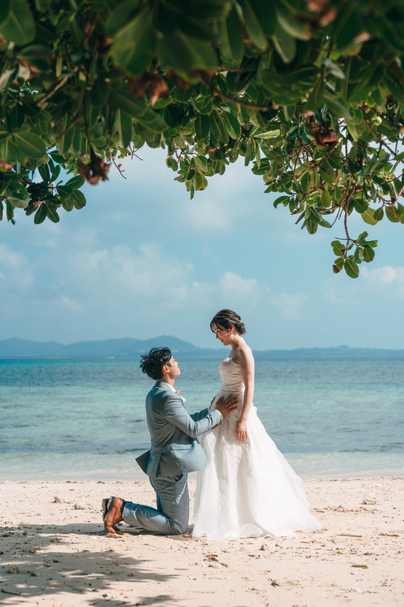 マタニティフォト