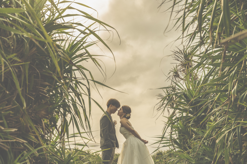 南国の葉っぱと