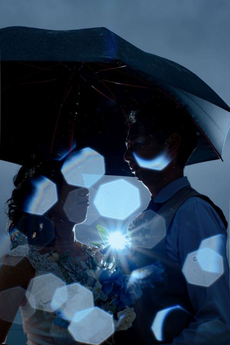 雨の中でしか撮れない貴重な