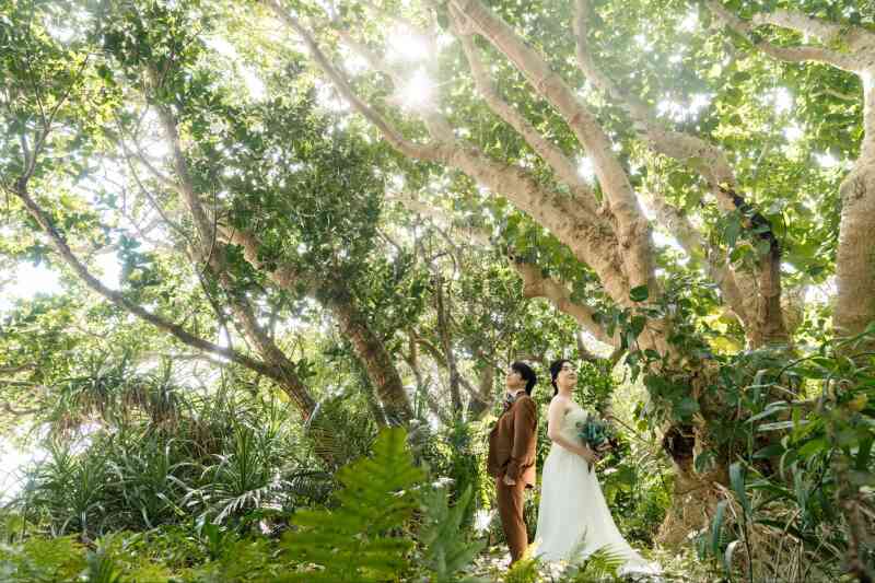 グリーンもビーチも!