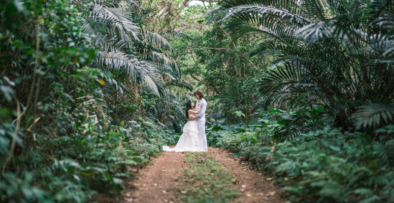 石垣島の自然の中