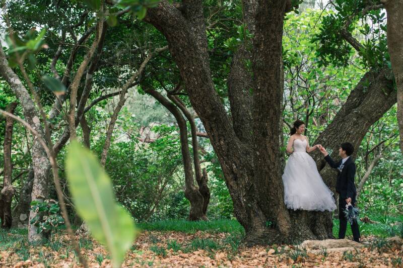 ドラマのように