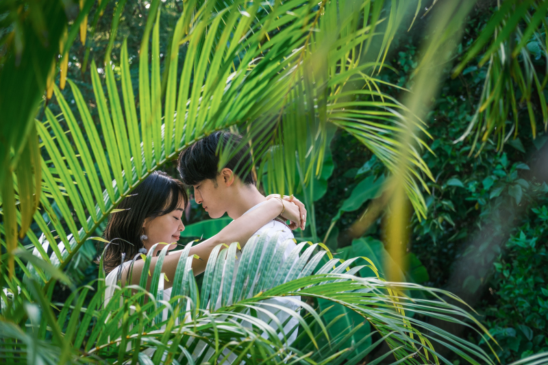 グリーンの中で