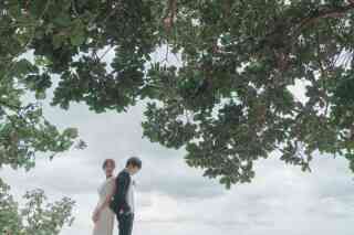 しっとりと美しく