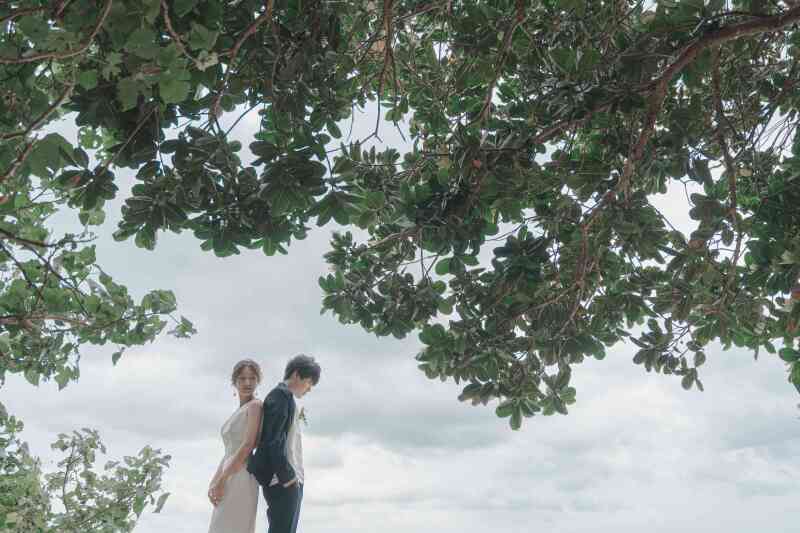 しっとりと美しく