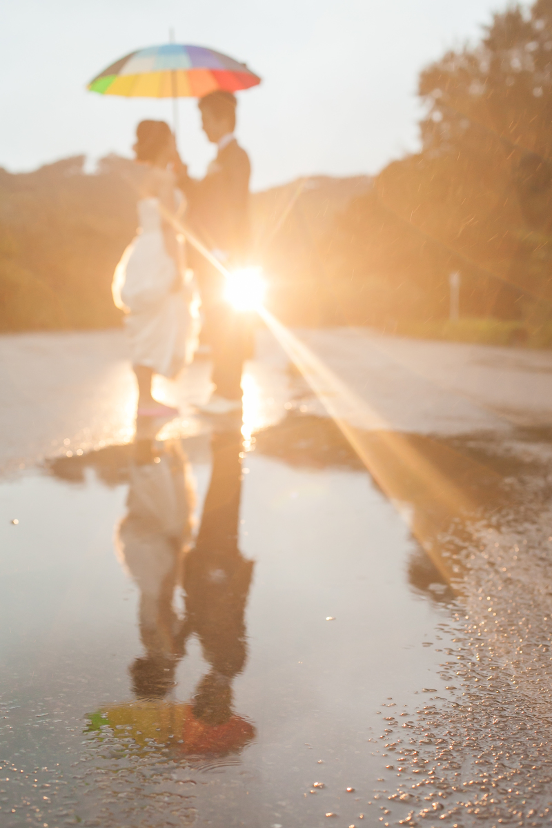 雨上がりの光の中で