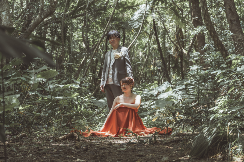 太陽に照らされて