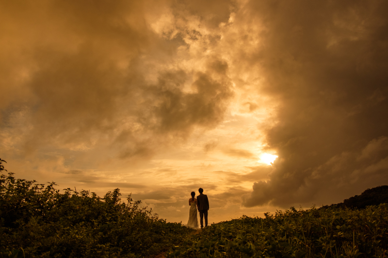 バックショット