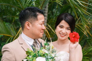 ハイビスカスと