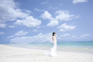 風になびくベール