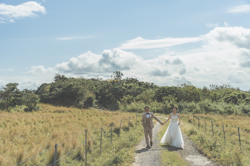 草原に挟まれて