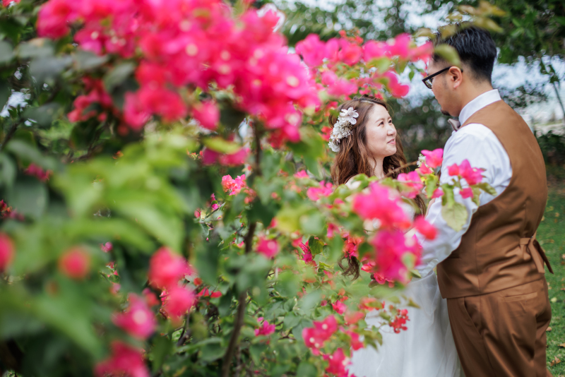 ブーゲンビリア