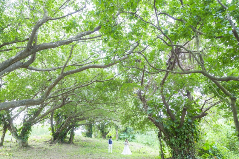 １DAYフォトツアー☆