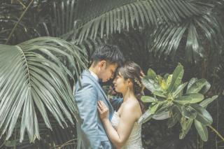 石垣島の大自然と