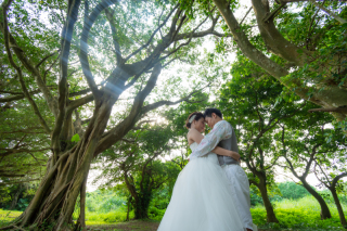 大自然も .｡.:*☆