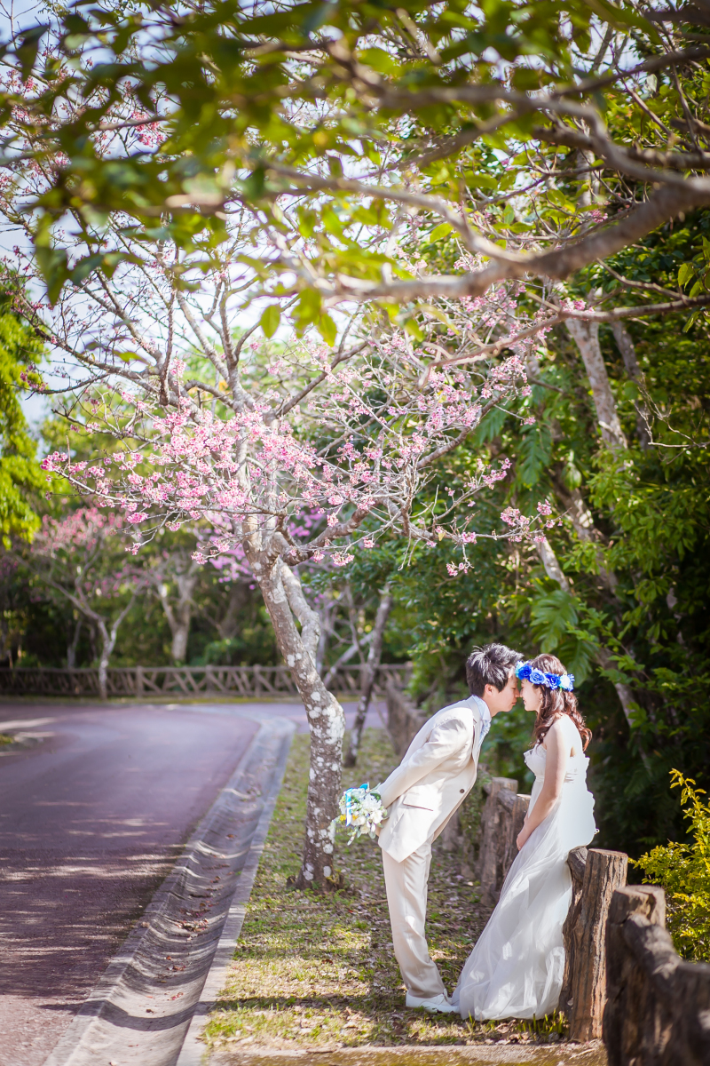 撮影の帰り道・・・♪