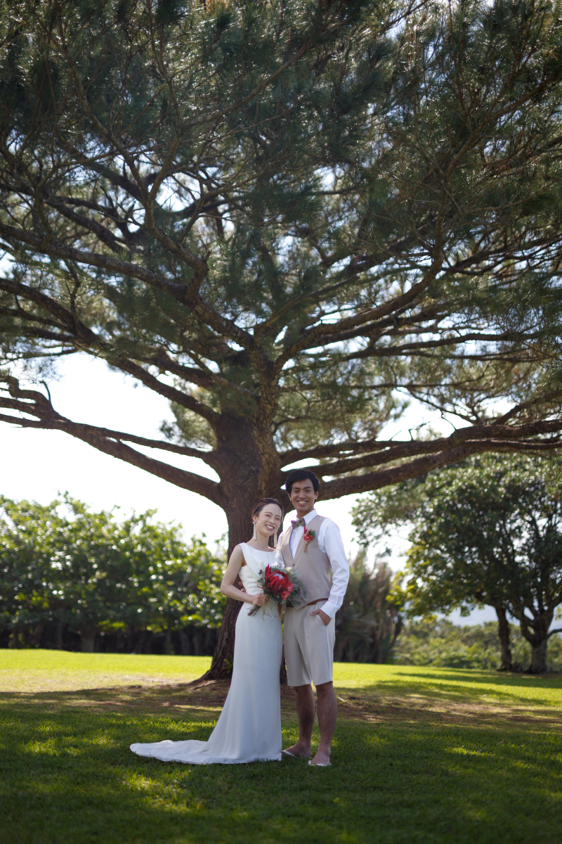 大きな木の下で