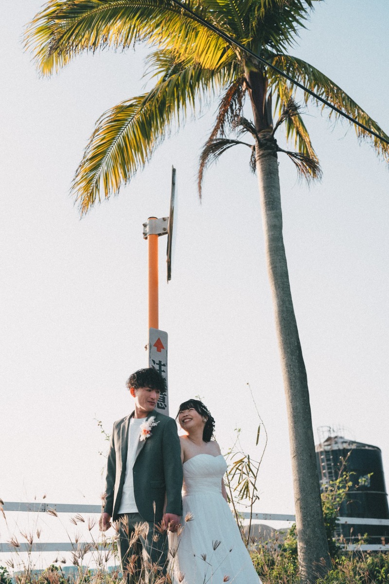 ヤシの木の下で