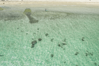 おふたりと、海