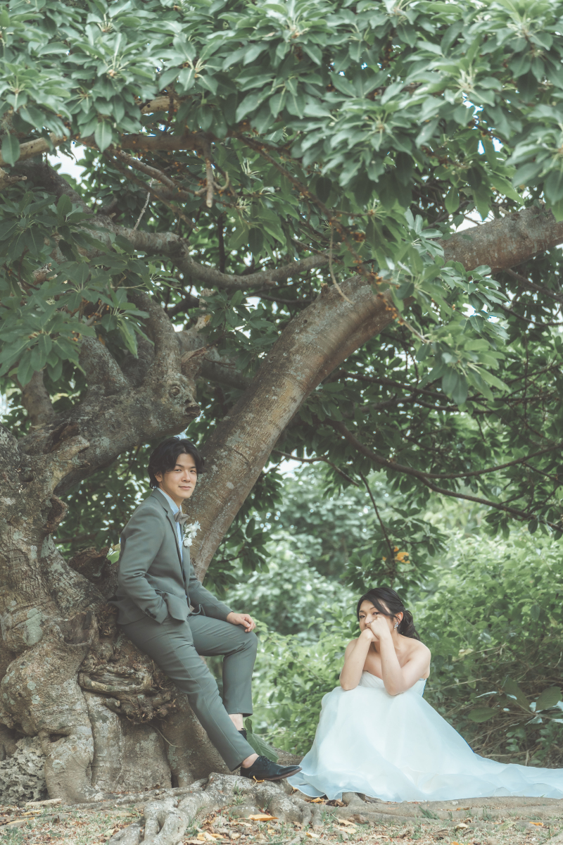 大きな木の下で