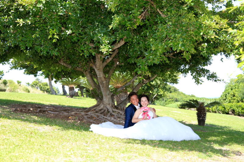 ガジュマルの木