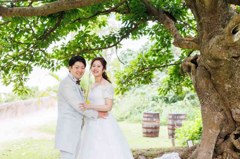 木が生い茂るスポットで