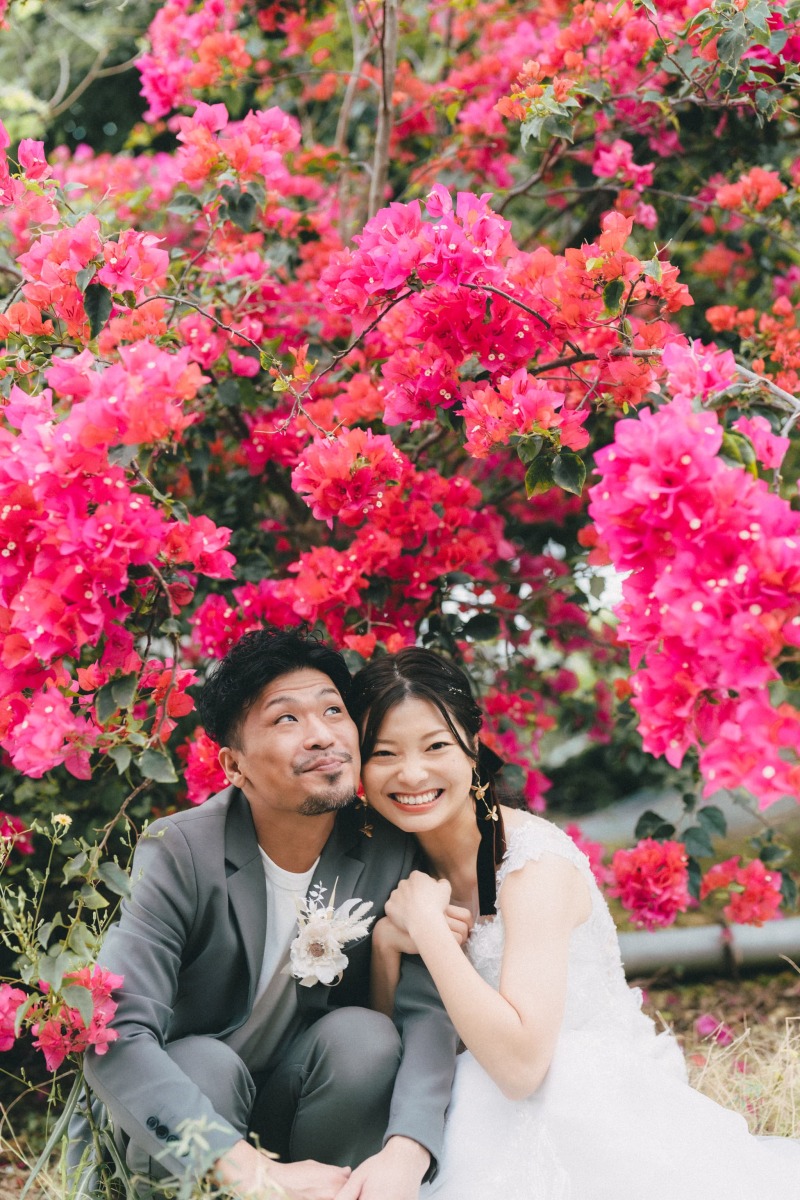 ブーゲンビリアと